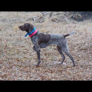 Meet your Posher, Margaret